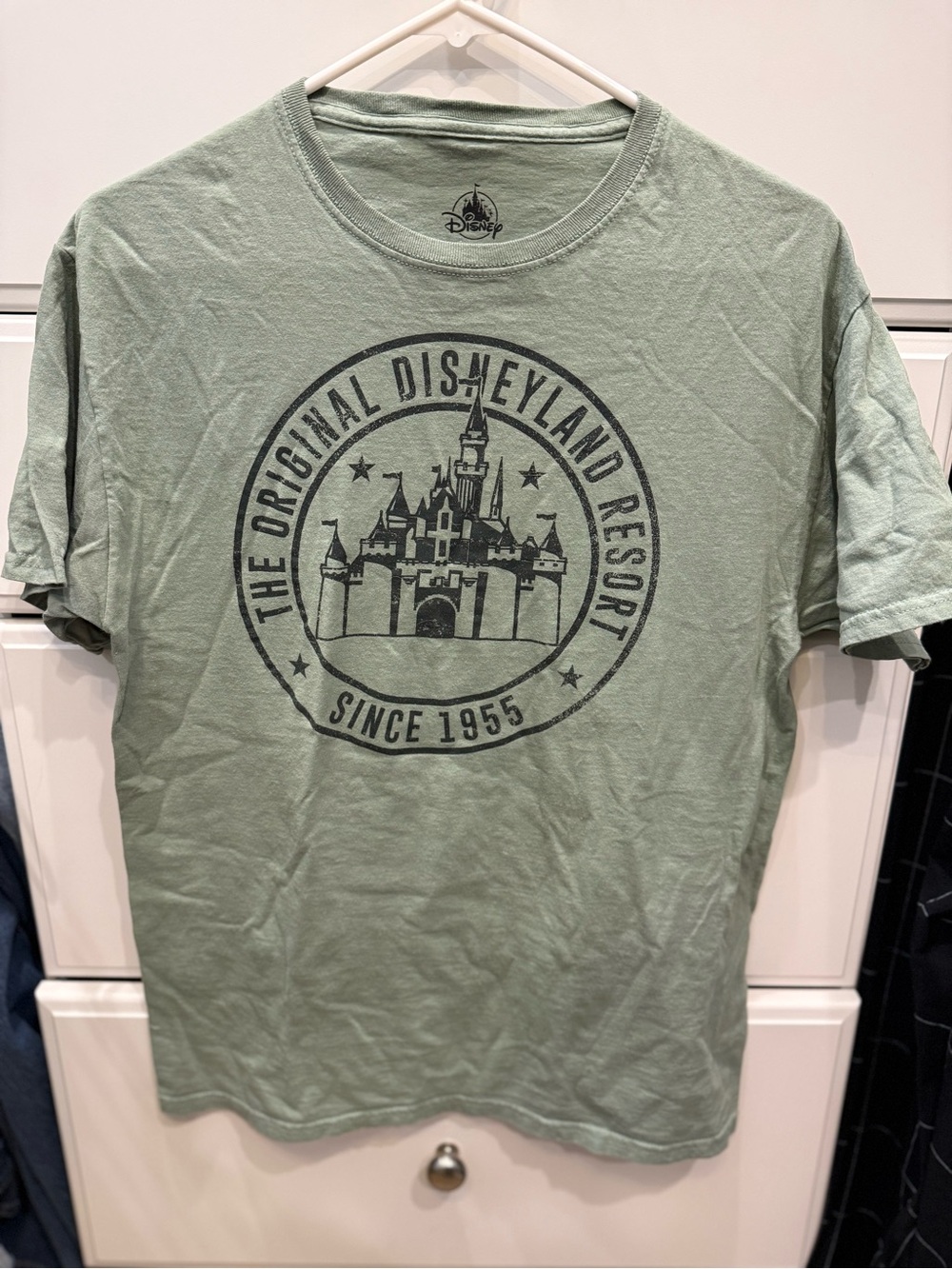 Disney Sage Green Castle Graphic Short Sleeve Tee